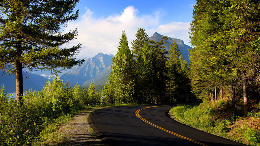 6. Montana